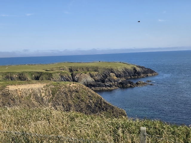 Day 379 (09.07.26), Dungarvan, Ireland