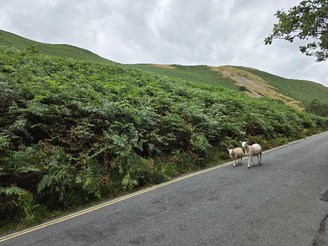 Day 417 (16.08.26), Lake District, England